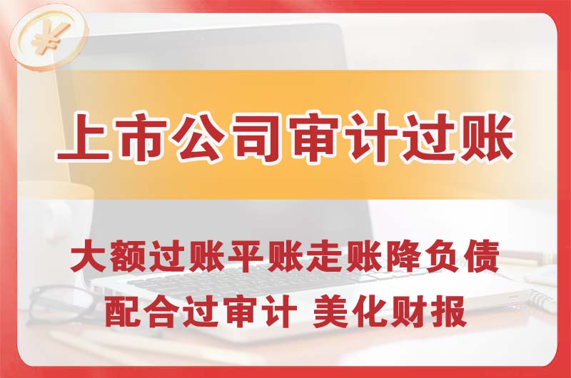 闵行上市公司审计过账
